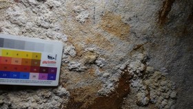 Lukisan Gua Tertua Ditemukan di Pulau Muna Sulawesi, Segini Usianya