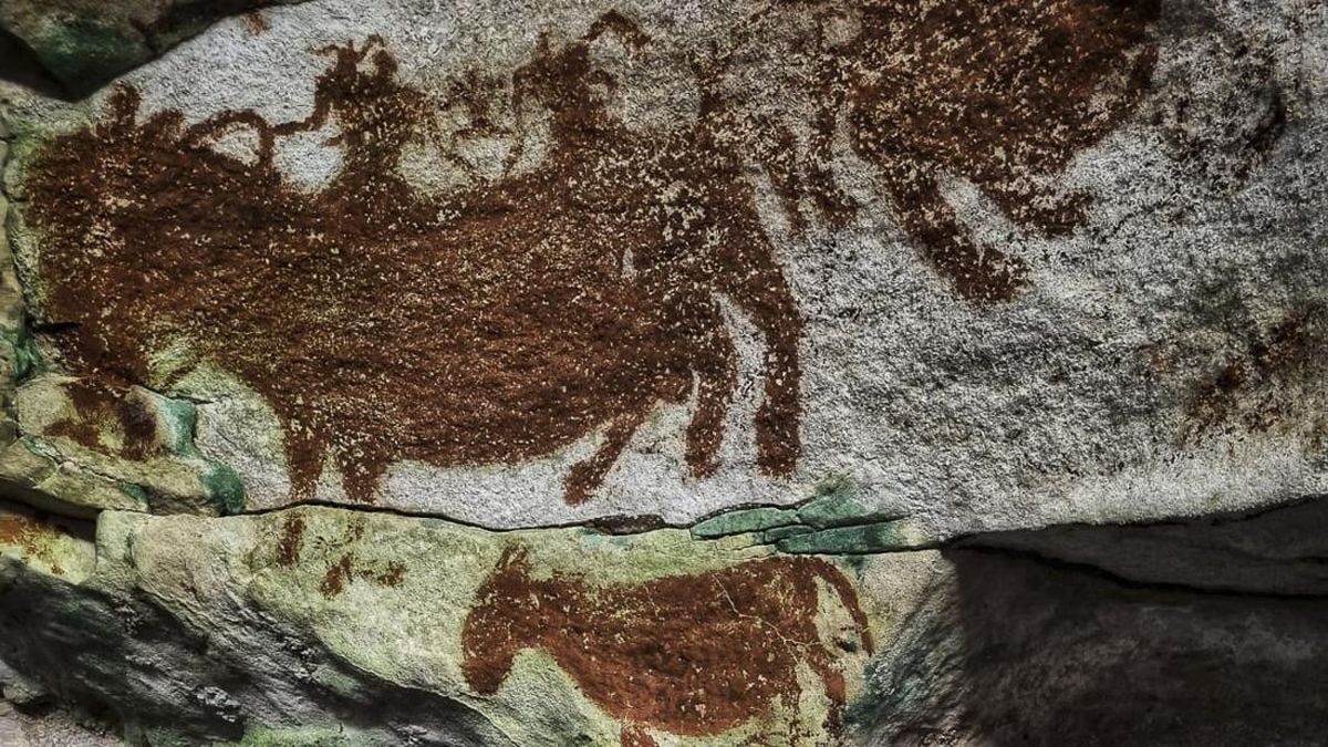 Seni Cadas di Pulau Muna Buktikan Migrasi Jalur Utara ke Australia