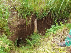 Sinkhole Muncul Usai Hujan Deras di Persawahan Tanjungsari Gunungkidul