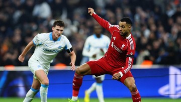 Hasil Liga Champions: Gakpo Cetak Gol, Liverpool Bantai Marseille 3-0