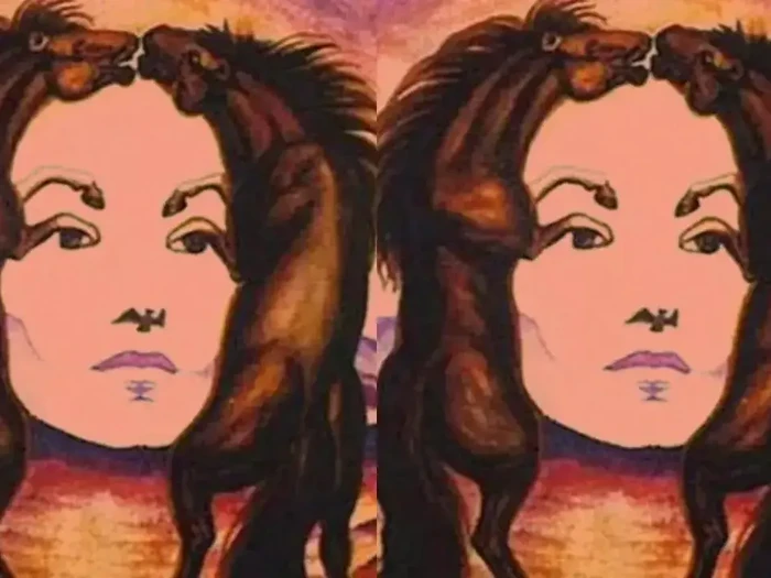 Tes kepribadian ilusi optik