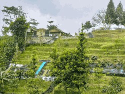 Staycation di Puncak Bogor, Ramah Buat Kantong Mahasiswa