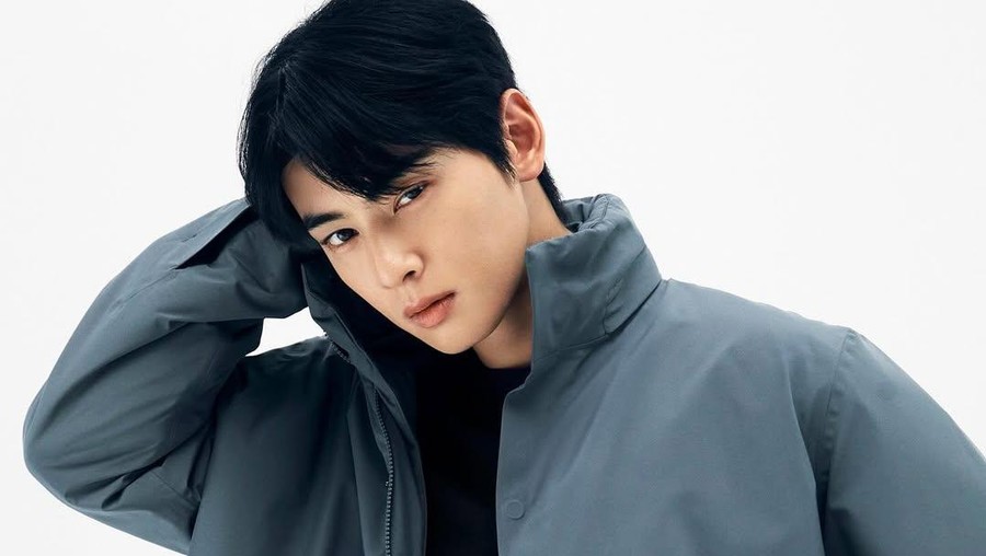 Cha Eun Woo Diduga Ubah Alamat Perusahaan Ibu ke Restoran Belut demi Hindari Pajak