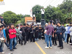 Warga Luwu Raya Demo di 4 Titik, Tebang Pohon-Picu Macet 3 Kilometer
