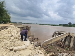 Baru Diperbaiki, Proyek Tebing Sungai Rp 40 M di Bojonegoro Ambruk 40 Meter