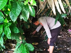 Dikira Bangkai, Mayat Bayi Ditemukan di Pinggir Sungai Sekarteja