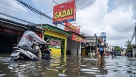 14 RT di Jakarta Masih Terendam Banjir