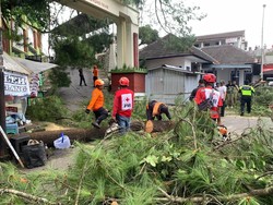 5 Peziarah Tertimpa Pohon Tumbang di Gunung Tidar Magelang, 1 Tewas