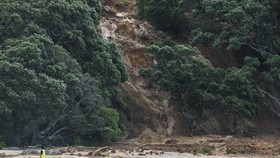Pencarian Korban Hilang Longsor Selandia Baru Terkendala Kondisi Medan