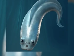 Hewan Bermata Empat Ditemukan, Semuanya Punya Fungsi