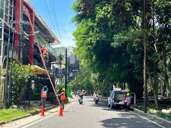 Angin Kencang Tumbangkan Pohon di Malang, Listrik Padam