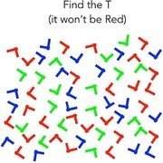 Tes Fokus: Bisakah Kamu Melihat Huruf T di Foto Ini?