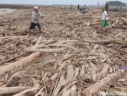 Guci Diterjang Banjir Bandang, Pantai Larangan Dipenuhi Kayu Gelondongan