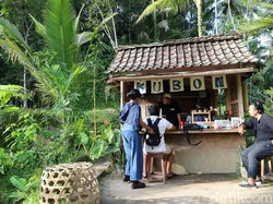 Sensasi Slow Living di Kubon Coffee dengan Hamparan Sawah Tegallalang