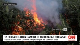 VIDEO: Kebakaran Lahan Gambut Hanguskan 17 Hektare di Aceh Barat