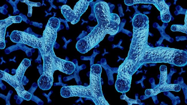 Menurut penelitian terbaru, Bifidobacterium ternyata dapat turunkan risiko asma dan alergi pada bayi.