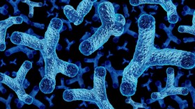 Bayi yang Miliki Bakteri Ini Bisa Kebal terhadap Asma dan Alergi