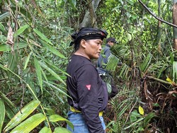 Sejarah Cagar Alam Depok, Warisan Chastelein yang Bertahan Berabad-abad