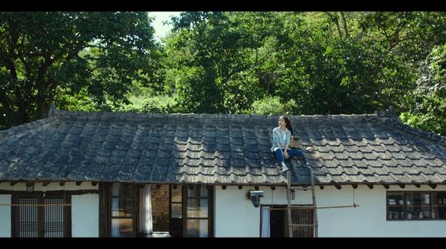 Cocok Buat Healing, Ini Lokasi Syuting Film Korea Little Forest yang Ikonik