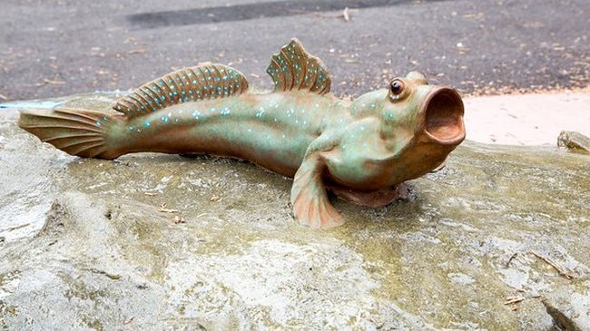 Ikan yang Bisa Berjalan dan Bernapas Seperti Hewan Darat, Ini Fakta Ilmiahnya