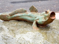 Ikan yang Bisa 'Berjalan' dan Bernapas Seperti Hewan Darat, Ini Fakta Ilmiahnya