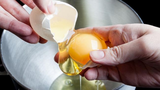 Ketahui Bahaya bila Ibu Hamil Terpapar Bakteri Salmonella dari Telur Kurang Matang