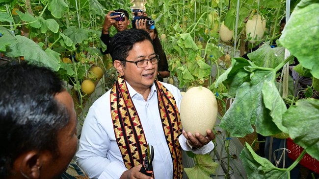 Kementerian Transmigrasi mendorong pengembangan kawasan transmigrasi sebagai pusat pertumbuhan ekonomi baru melalui optimalisasi potensi unggulan daerah.