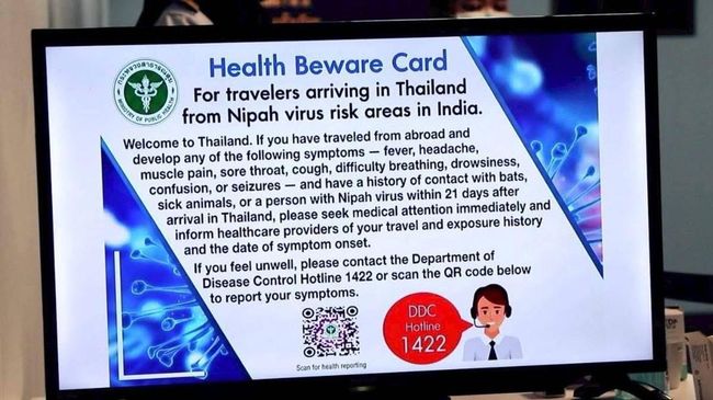 Heboh soal Virus Nipah, Thailand Ungkap Dampak ke Pariwisata