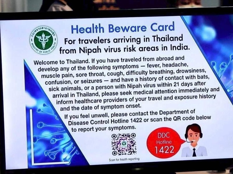 Heboh soal Virus Nipah, Thailand Ungkap Dampak ke Pariwisata