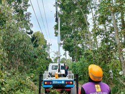 PLN Pulihkan 21 Penyulang Utama Terdampak Angin Kencang di DIY