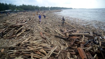 FOTO: Jejak Ribuan Kayu Gelondongan di Banjir Bandang Tegal