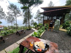 Sensasi Ngopi Syahdu di Tengah Hutan Pinus Kuningan