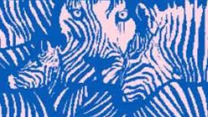 Tes Kepribadian: Zebra atau Singa yang Pertama Kamu Lihat? Ini Artinya!