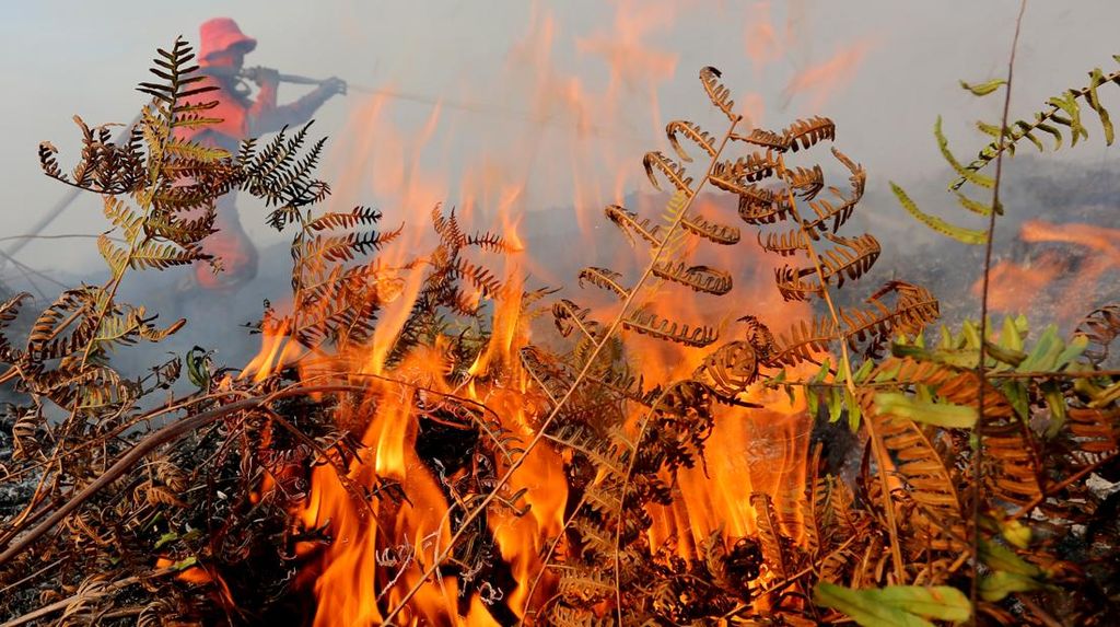 FOTO: Karhutla di Aceh Barat Semakin Meluas