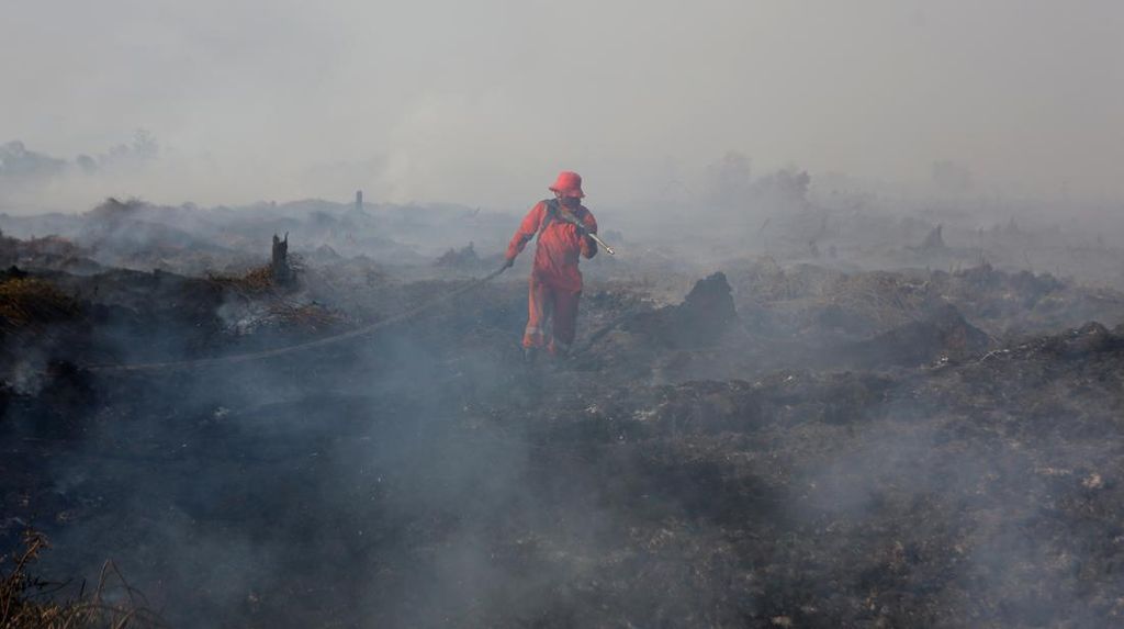 Kebakaran Hutan di Aceh Barat Meluas hingga 50 Hektare, Belum Padam