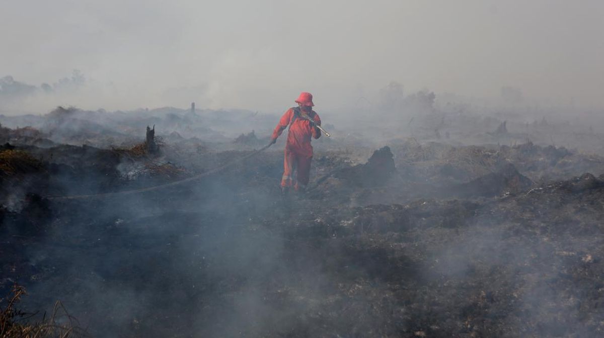 Kebakaran Hutan di Aceh Barat Meluas hingga 50 Hektare, Belum Padam