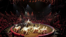 FOTO: Terpukau Pertunjukan Sirkus Kelas Dunia di Festival Monte-Carlo