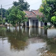 Menurut WALHI, Banjir di Jawa Tengah karena Krisis Ekologis Sejak Lama