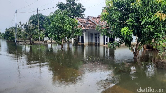 Menurut WALHI, Banjir di Jawa Tengah karena Krisis Ekologis Sejak Lama