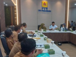 Bupati Afni Sambangi PLN, Singgung Banyak Desa Tak Teraliri Listrik di Siak