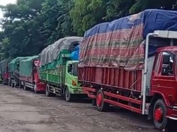 Penyeberangan Banyuwangi-Lembar Antre 5 Hari, Sopir Truk Protes ke DPRD