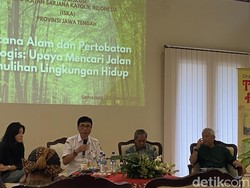 Walhi Catat 11 Ribu Hektare Hutan di Jateng Hilang dalam 10 Tahun