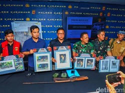 Update Kasus 5 Pemburu yang Ditangkap Usai Lukai Macan Tutul