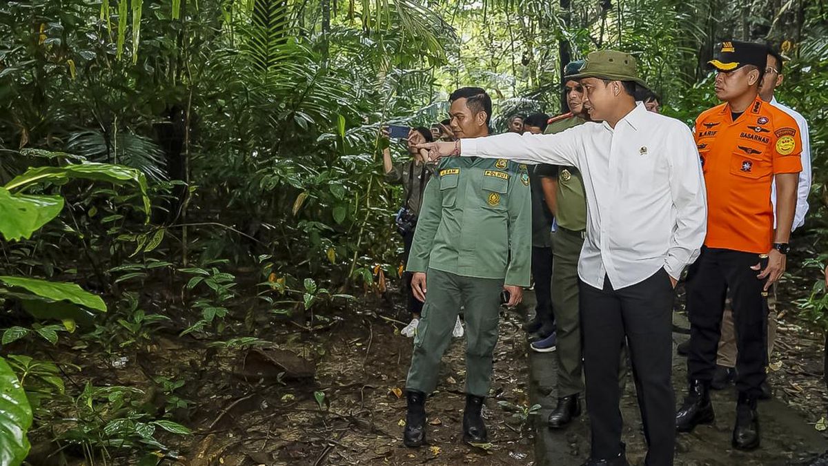 Menhut Sebut Jumlah Spesies Kupu-kupu Naik 114 Persen di Bantimurung