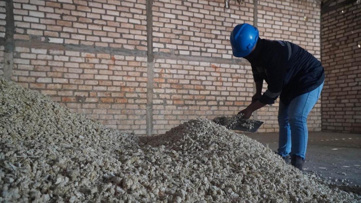 Intip Kinerja Emiten Semen Saat Kredit Konstruksi Melejit