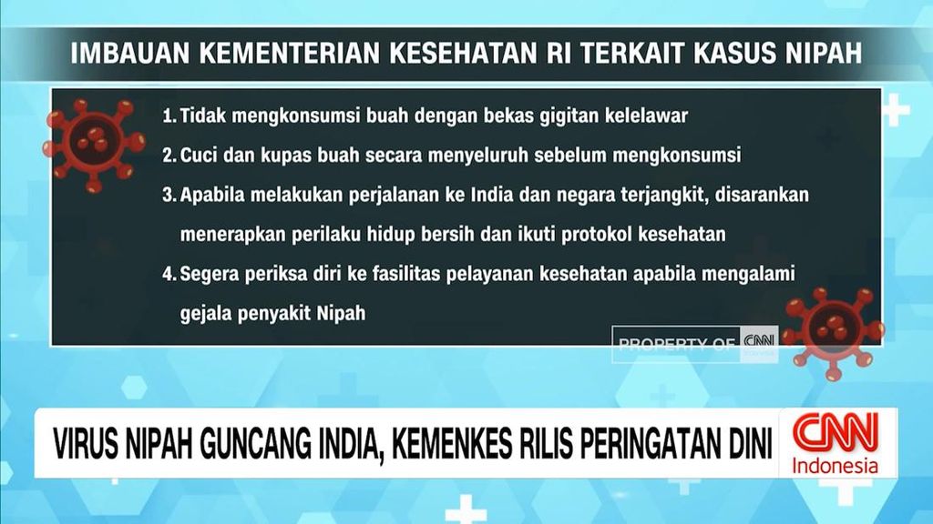 VIDEO: Virus Nipah Guncang India, Kemenkes Rilis Peringatan Dini