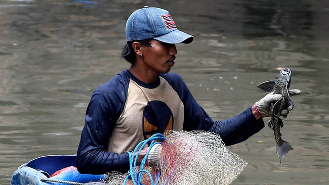 Lonjakan populasi ikan sapu-sapu di Sungai Ciliwung dapat merusak ekosistem. Peneliti BRIN sarankan pengendalian untuk menjaga keseimbangan lingkungan.