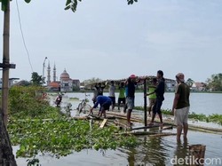 Warga Terdampak Banjir Lamongan Swadaya Bangun Jembatan dari Bambu
