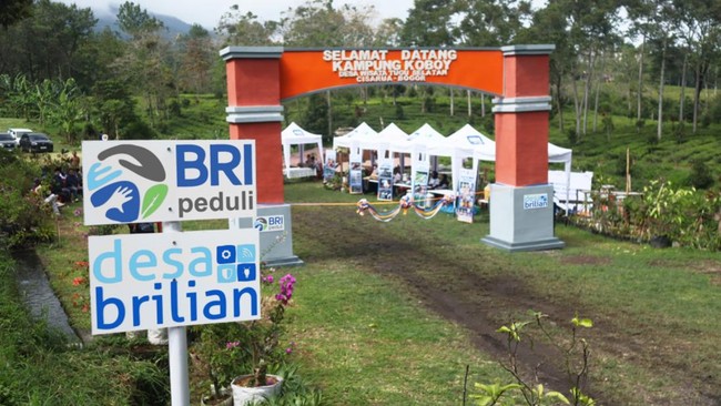 Dalam prosesnya, Desa BRILiaN berkembang menjadi salah satu strategi utama pemberdayaan BRI untuk menggali dan mengembangkan potensi ekonomi di tingkat lokal.