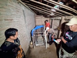 Ilmu Kanuragan di Balik Pria Dipasung 20 Tahun di Kandang